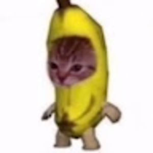 Meet your Posher, Salma